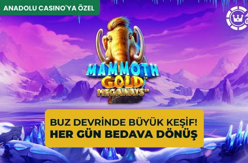 Anadolucasino Yeni Giriş Adresi Nedir, Anadolu Hızlı Giriş