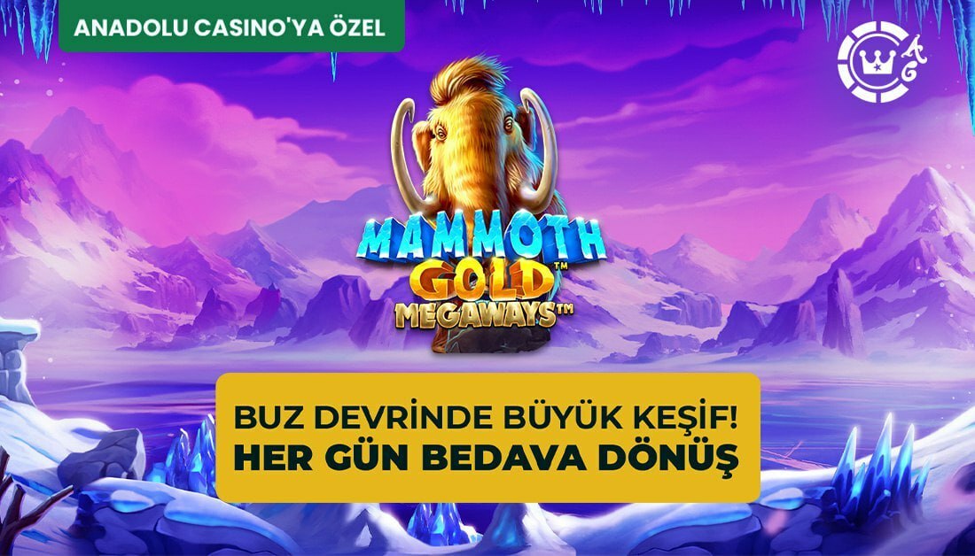 Anadolucasino Yeni Giriş Adresi Nedir, Anadolu Hızlı Giriş